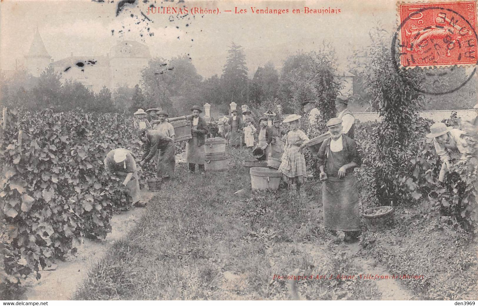 JULIENAS (Rhône) - Les Vendanges En Beaujolais - Julienas