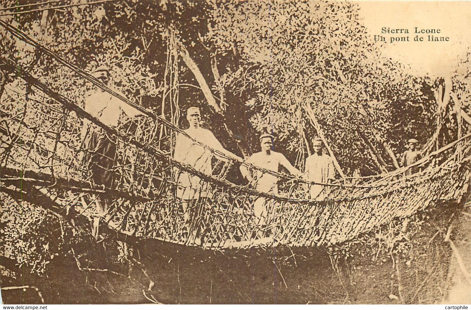 Sierra Leone - Pont De Liane - Sierra Leone