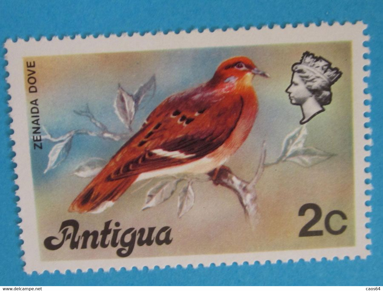 1976 ANTIGUA Uccelli Birds Zenaida Dove (Zenaida Aurita) - Nuovo MNH - Moineaux
