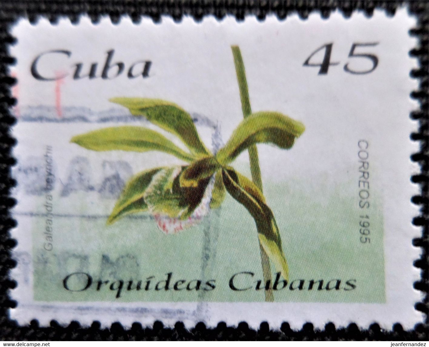 Timbre De Cuba 1995 Orchids   Y&T N° 3470 - Gebruikt