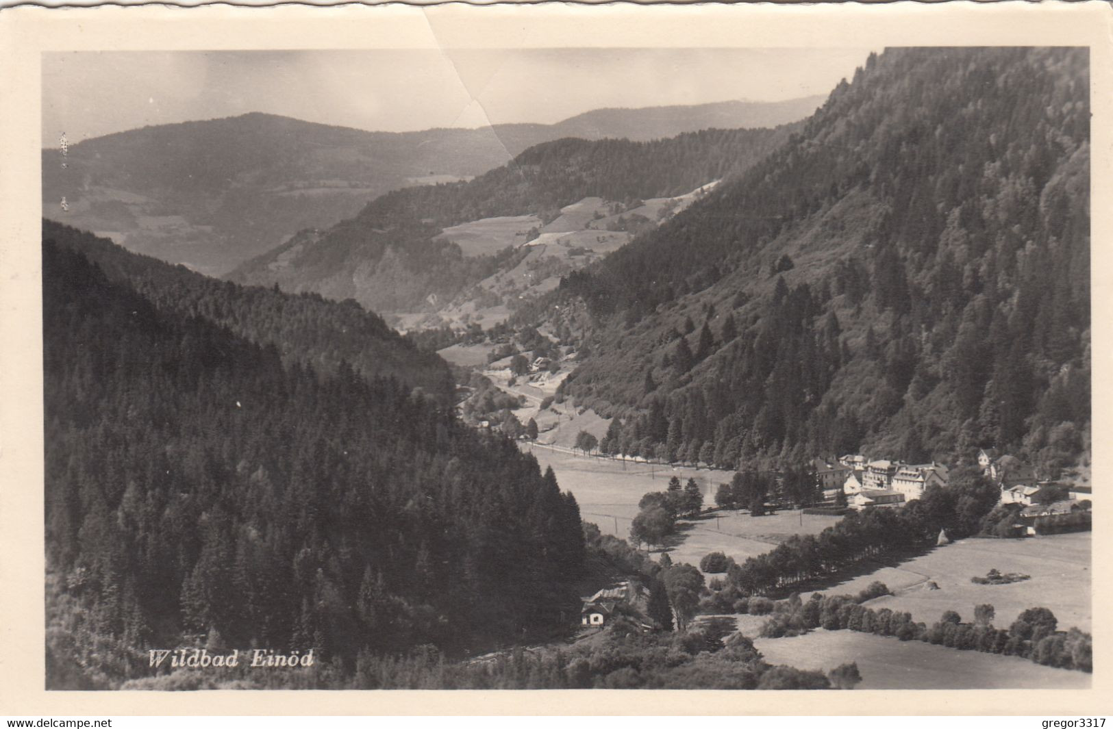 C641) Wildbad EINÖD - Steiermark -  Viel Wald - Ansicht Richtung Anlangen ALT 1956 - Neumarkt