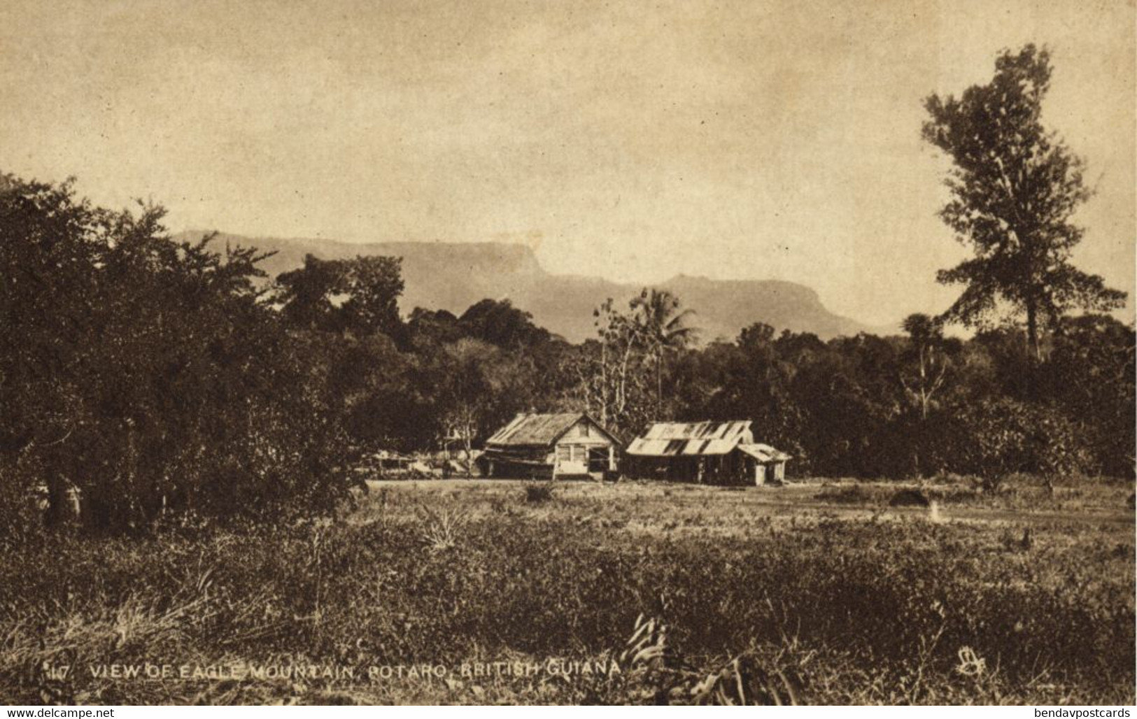 British Guiana, Guyana, Demerara, Eagle Mountain, Potaro (1920s) Tuck Postcard 1 - Guyana (ehemals Britisch-Guayana)