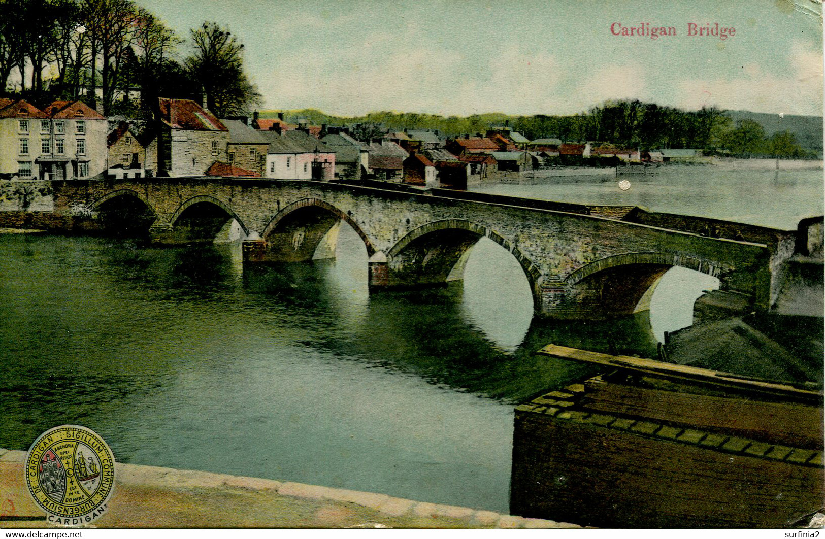 PEMBS - CARDIGAN BRIDGE 1910 Dyf315 - Cardiganshire