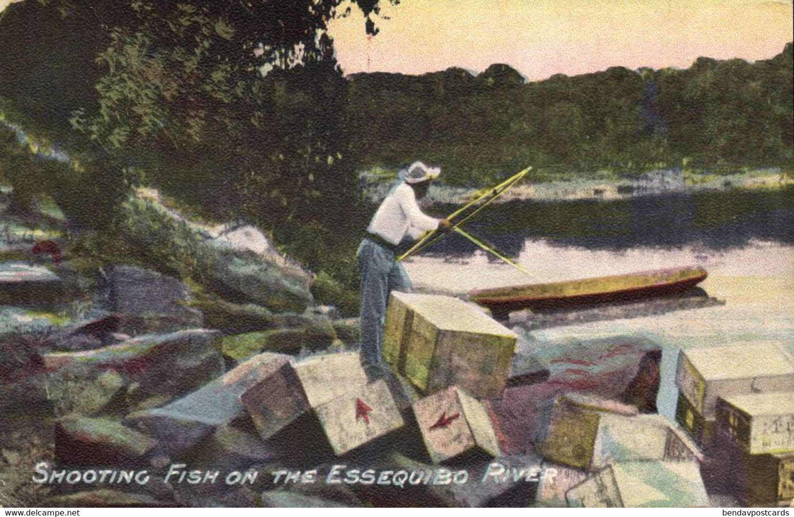 British Guiana, Guyana, Demerara, Shooting Fish On Essequibo River (1900s) Postcard - Guyana (formerly British Guyana)