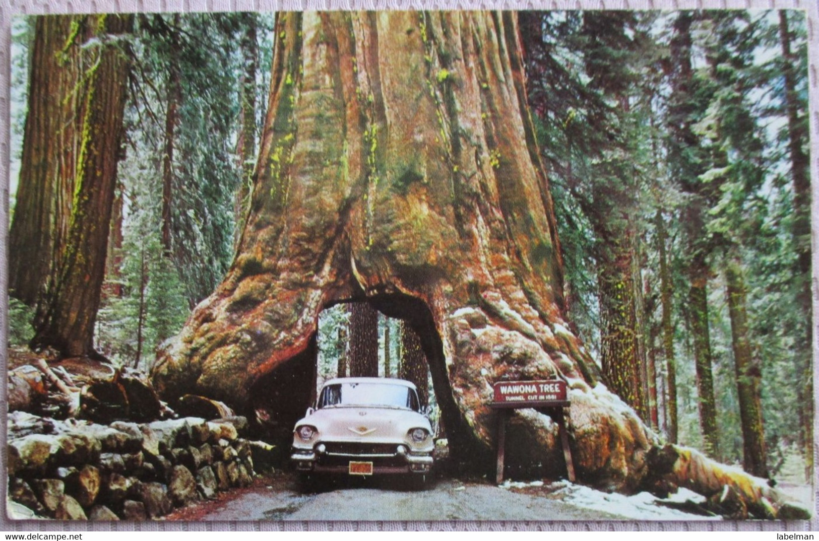 USA UNITED STATES CALIFORNIA WAWONA TREE YOSEMITE PARK CARD ANSICHTSKARTE CARTOLINA POSTCARD PC CP AK CARTE POSTALE - Death Valley