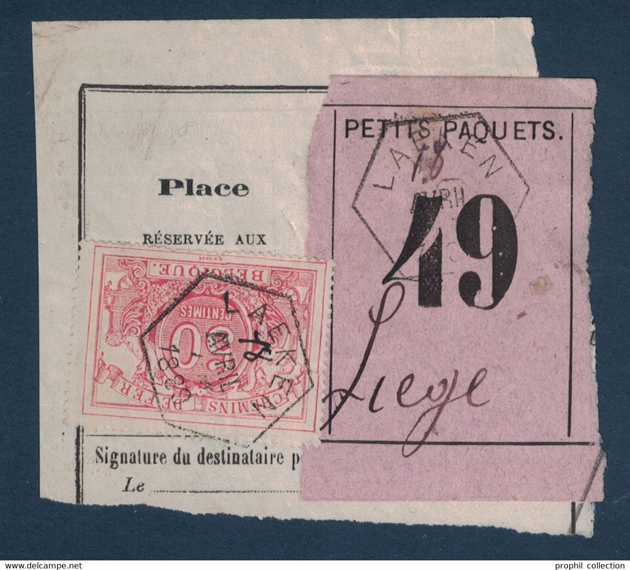 FRAGMENT Avec ETIQUETTE PETITS PAQUETS TIMBRE CHEMINS DE FER CACHET LAEKEN > LIEGE 1889 - Documenti & Frammenti