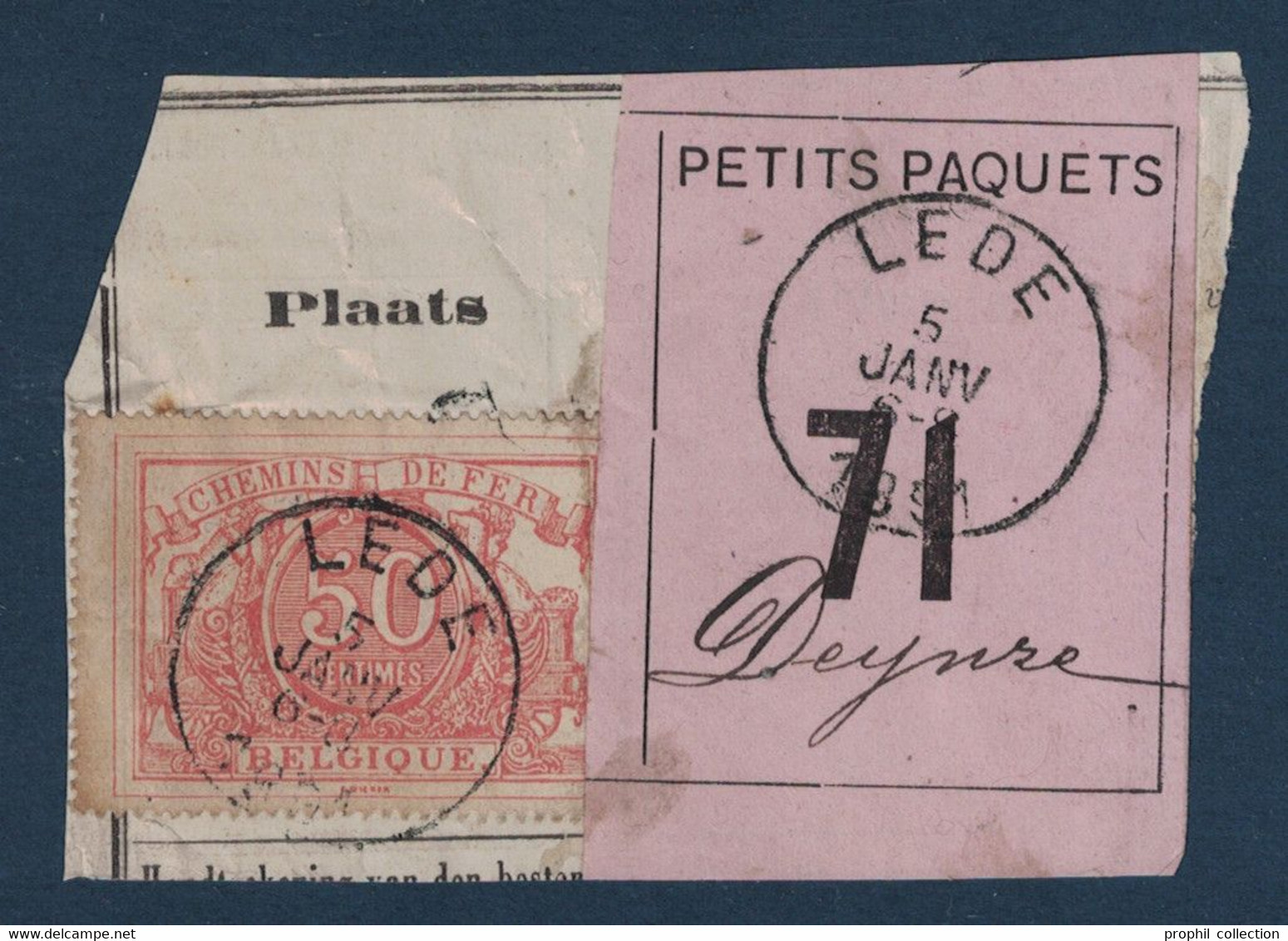 FRAGMENT Avec ETIQUETTE PETITS PAQUETS TIMBRE CHEMINS DE FER CACHET LEDE > DEINZE 1891 - Dokumente & Fragmente