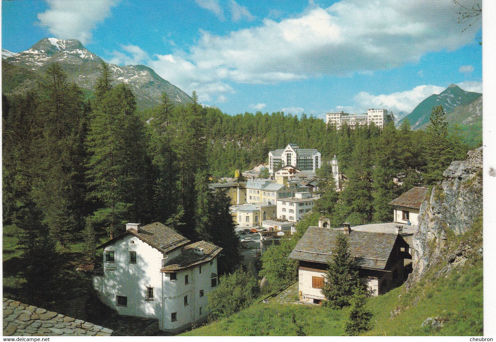 SUISSE .CPSM. SILS MARIA . SILS MARIA - OBERENGADIN - Sils Im Engadin/Segl