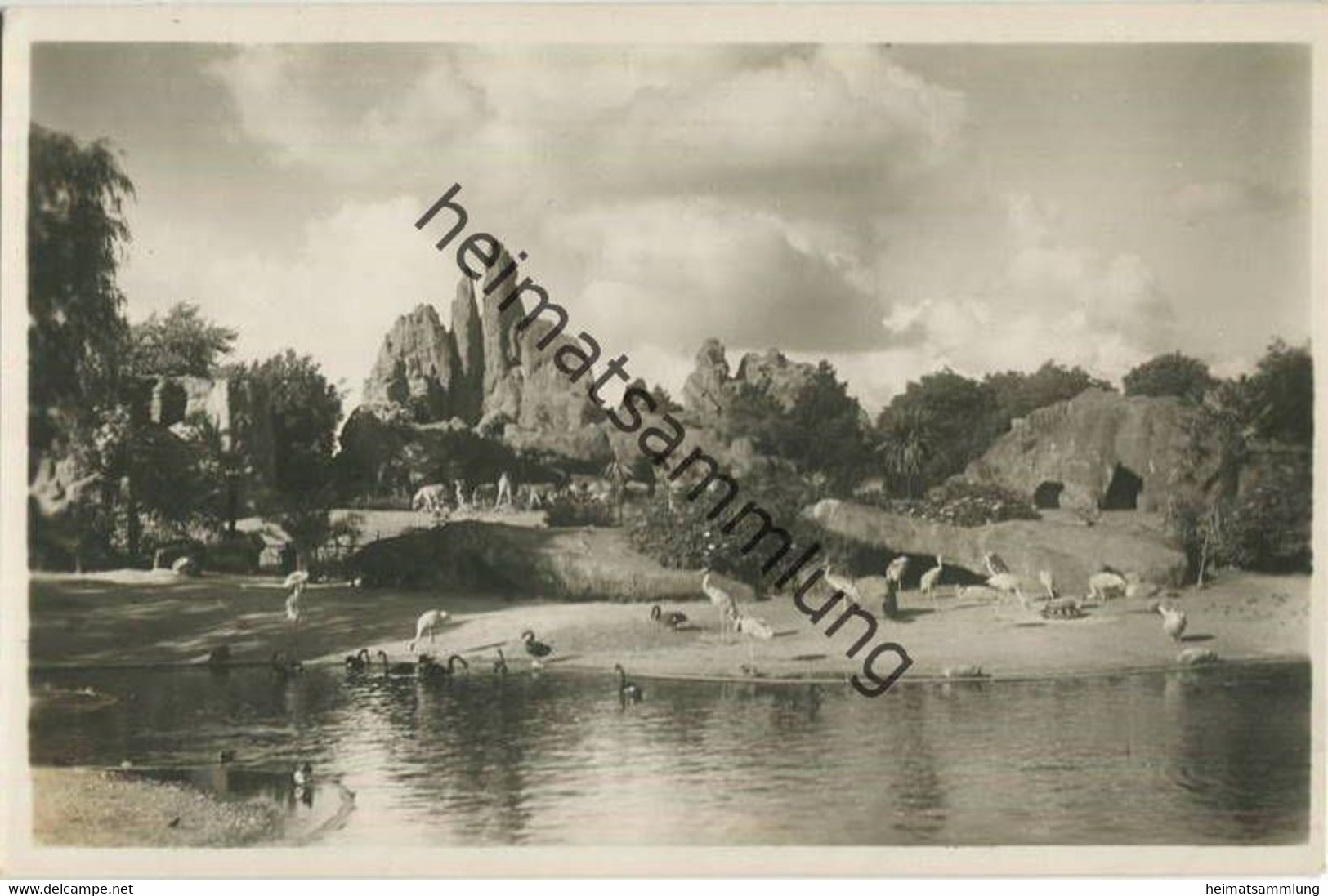 Hamburg - Stellingen - Carl Hagenbeck S Tierpark - Gesamt Panorana - Foto-Ansichtskarte - Stellingen