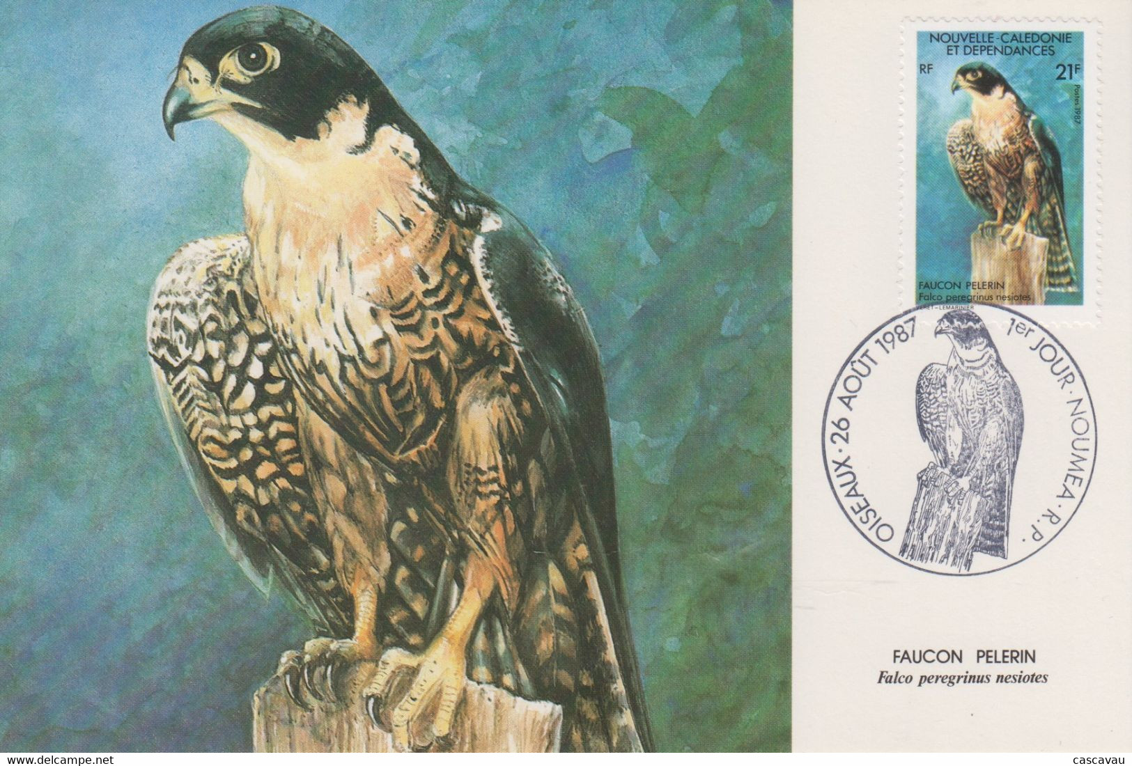 Carte  Maximum  1er  Jour   NOUVELLE  CALEDONIE   Oiseau  :  Faucon   Pélerin   1987 - Tarjetas – Máxima