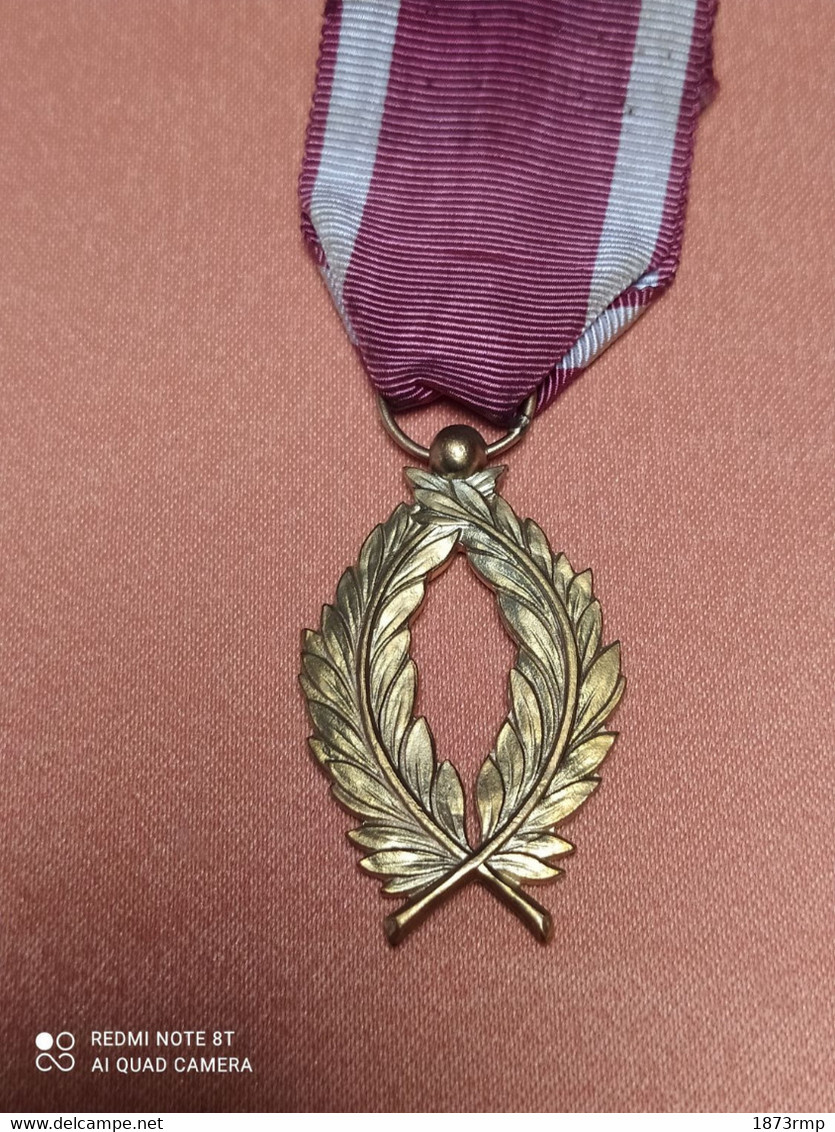 MEDAILLE ORDRE DE LA COURONNE, PALMES "OR", ORDRE COLONIAL, BELGIQUE - België