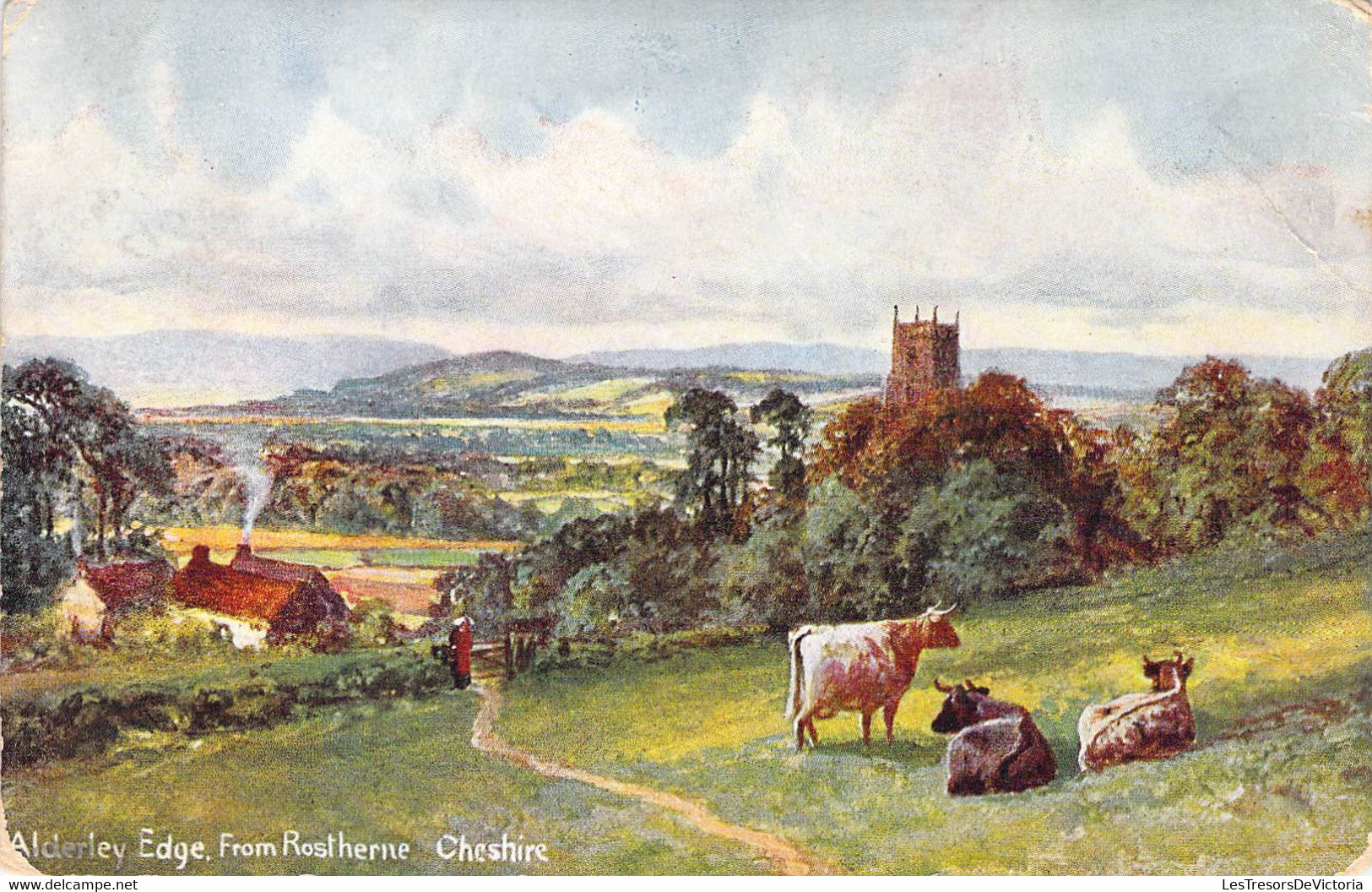 CPA Royaume Uni - Angleterre - Cheshire - Alderley Edge From Rostherne - S. Hildesheimer & Co. Ltd. - Oblitérée 1907 - Sonstige & Ohne Zuordnung