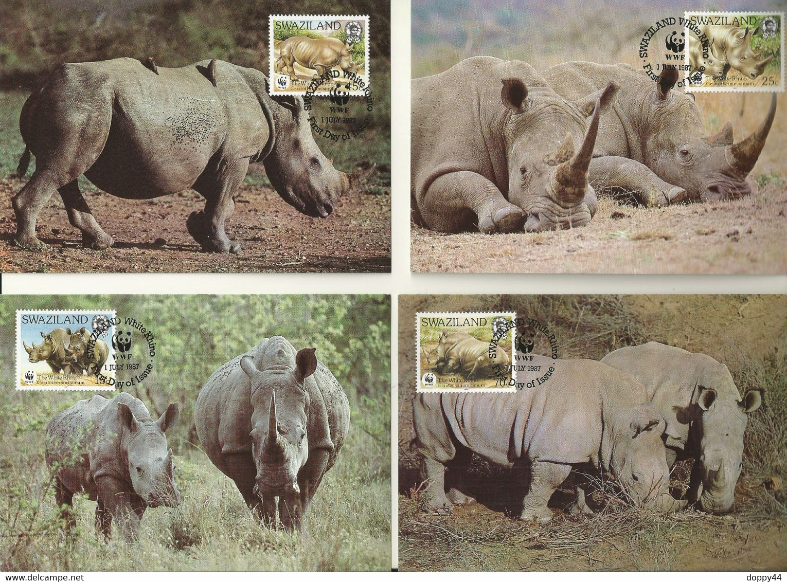 LOT 4 CARTES WWF SWAZILAND RHINOCEROS BLANC. - Maximumkarten