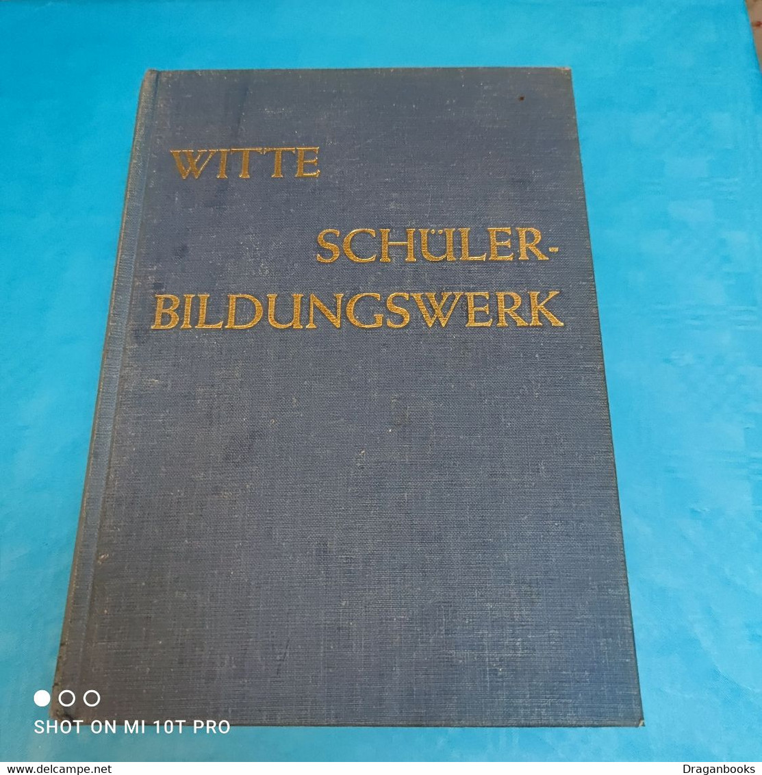 Witte - Schülerbildungswerk - Woordenboeken