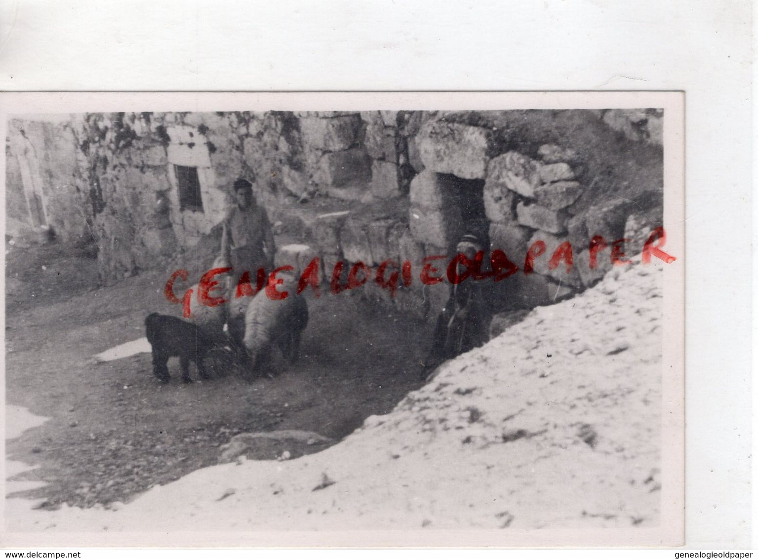 JORDANIE - JORDAN- TOMB OF LAZAR IN BETHANY- CARTE PHOTO LEON - Jordanie