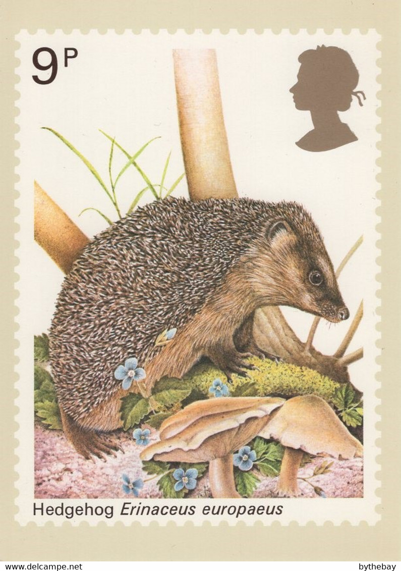 Great Britain 1977 PHQ Card Sc 816 9p Hedgehog - PHQ Cards