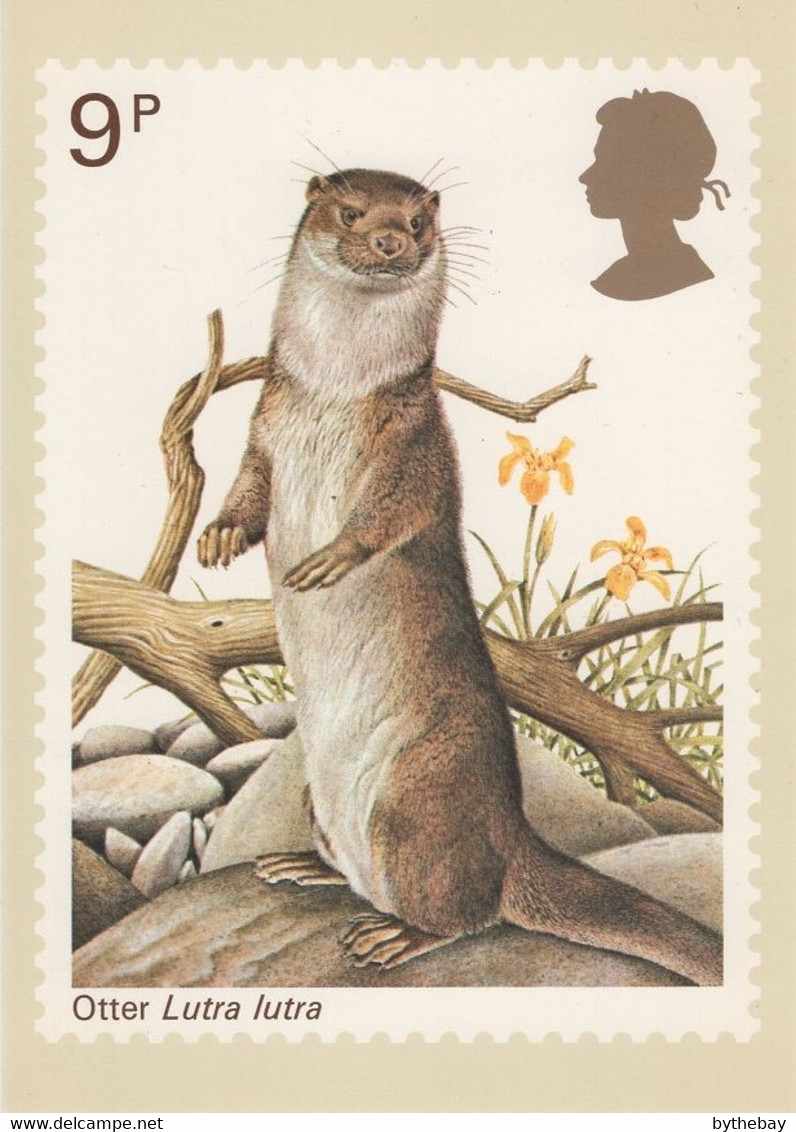 Great Britain 1977 PHQ Card Sc 819 9p Otter - PHQ Cards