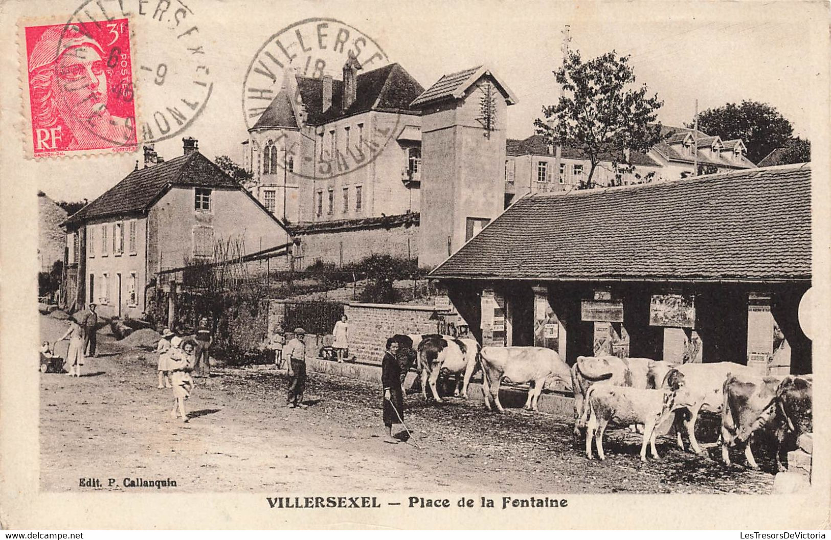 CPA Villersexel - Place De La Fontaine - Edit P Callanquin - Vaches - Animé - Villersexel