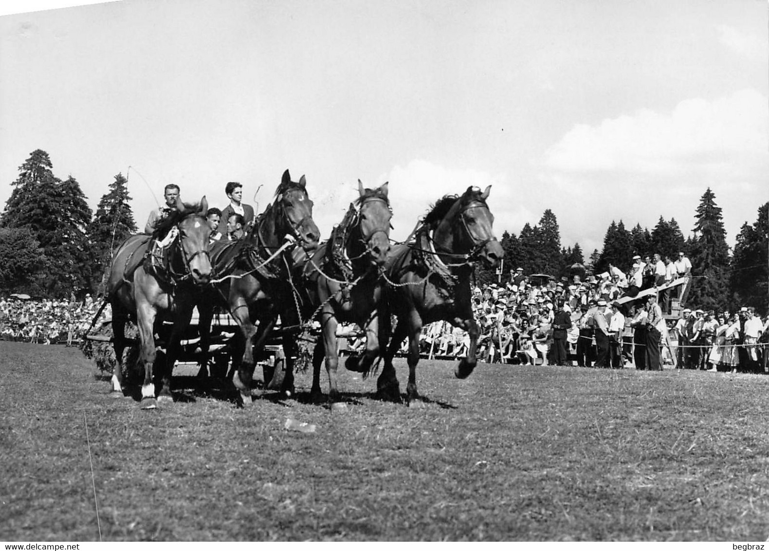 SAIGNELEGIER      MARCHE CONCOURS DE CHEVAUX - Saignelégier