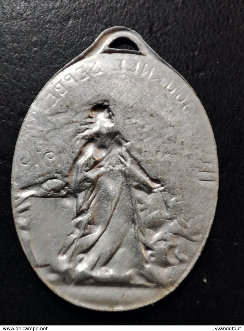 Médaille. Insigne. Journée Sepbe 1916 - 14/18 - Francia