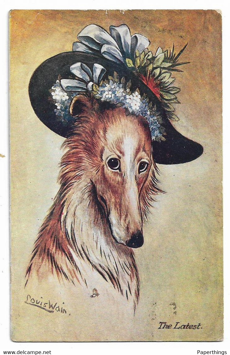 Postcard, Louis Wain, Fashionable Dog Wearing Hat, 1913. - Wain, Louis