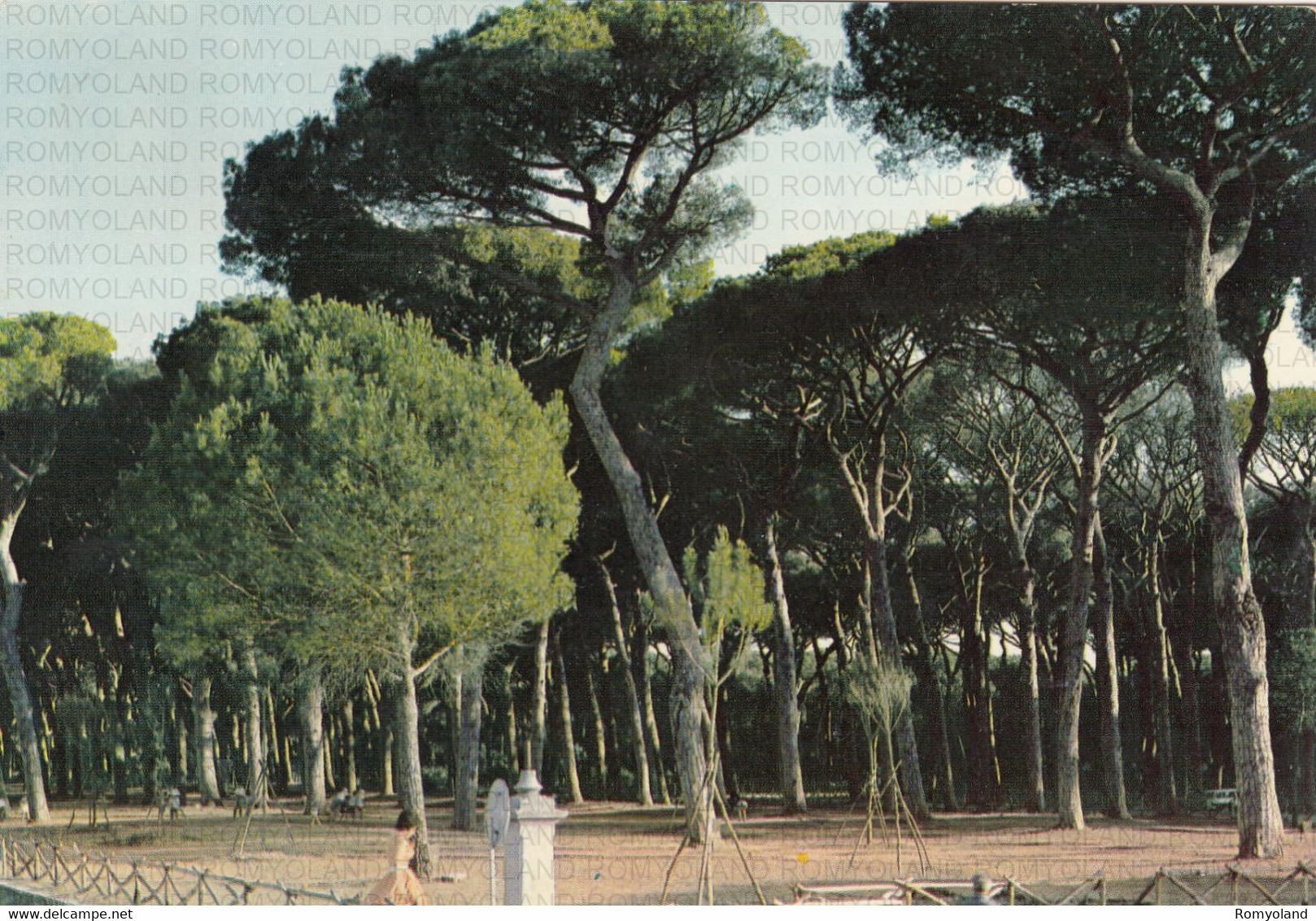 CARTOLINA  FREGENE,FIUMICINO,LAZIO,LA PINETA-SPIAGGIA,MARE,SOLE,VACANZA,ESTATE,LUNGOMARE,BELLA ITALIA,VIAGGIATA 1970 - Fiumicino