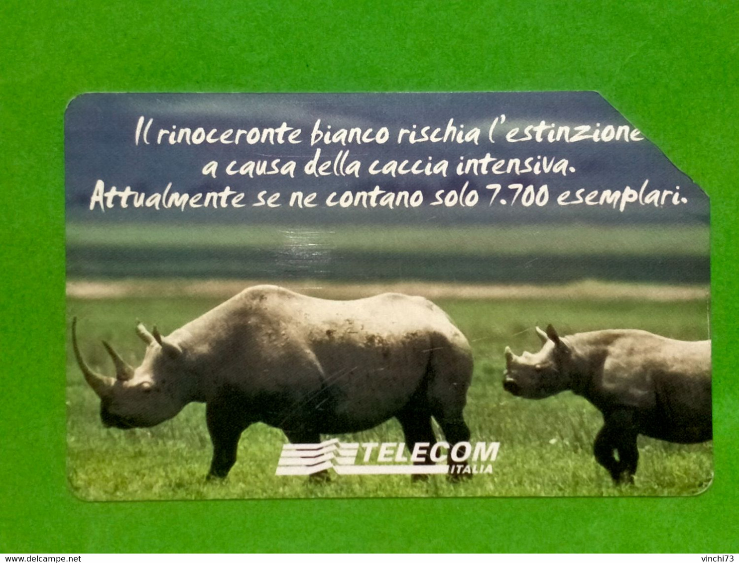 ! - ITALIA -SCHEDA TELEFONICA ANIMALI CHE LASCIANO IL VUOTO - Publiques Thématiques