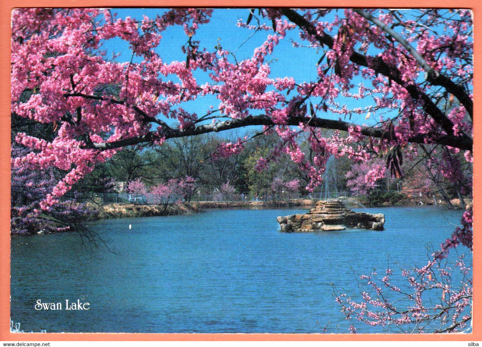 United States Tulsa 1988 / The Redbud, Oklahoma State Tree, Swan Lake - Tulsa