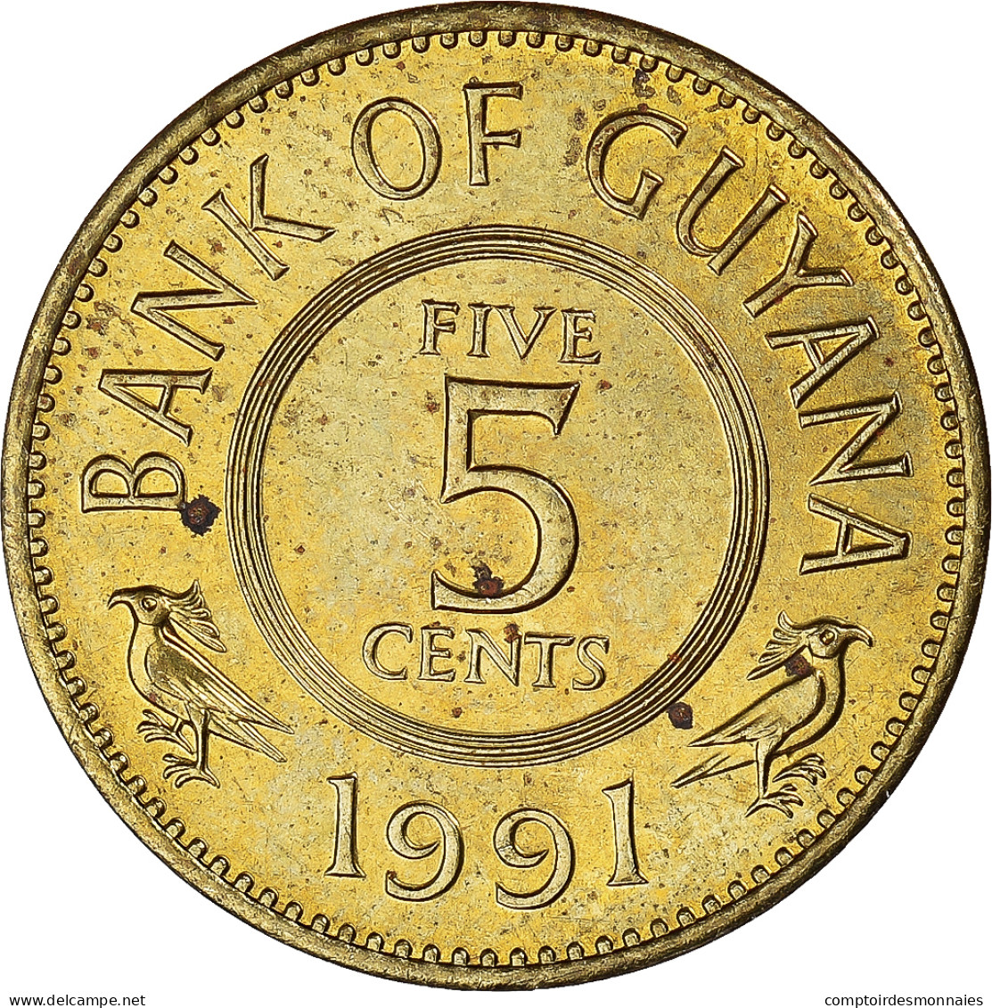 Monnaie, Guyana, 5 Cents, 1991 - Guyana