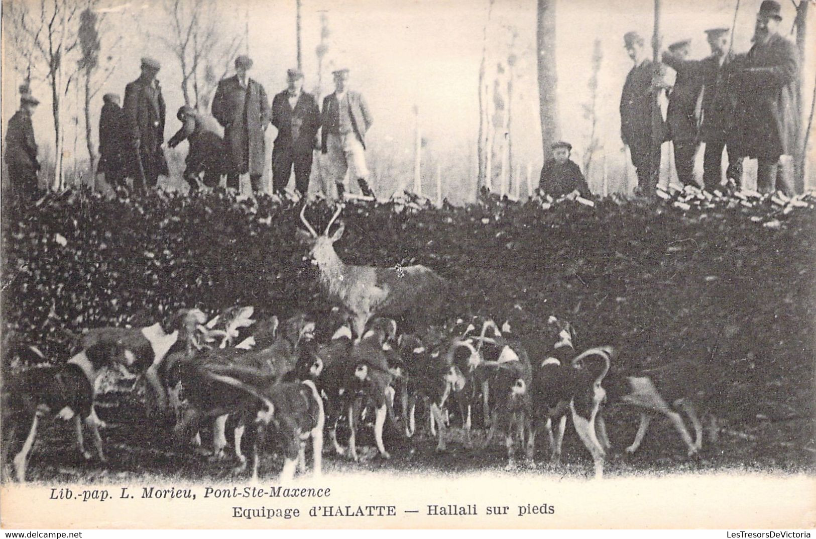 CPA - FRANCE - Chasse - Chasse à Courre - Equipage D'Halatte - Hallali Sur Pied - MOIEU PONT ST MAXENCE - Hunting