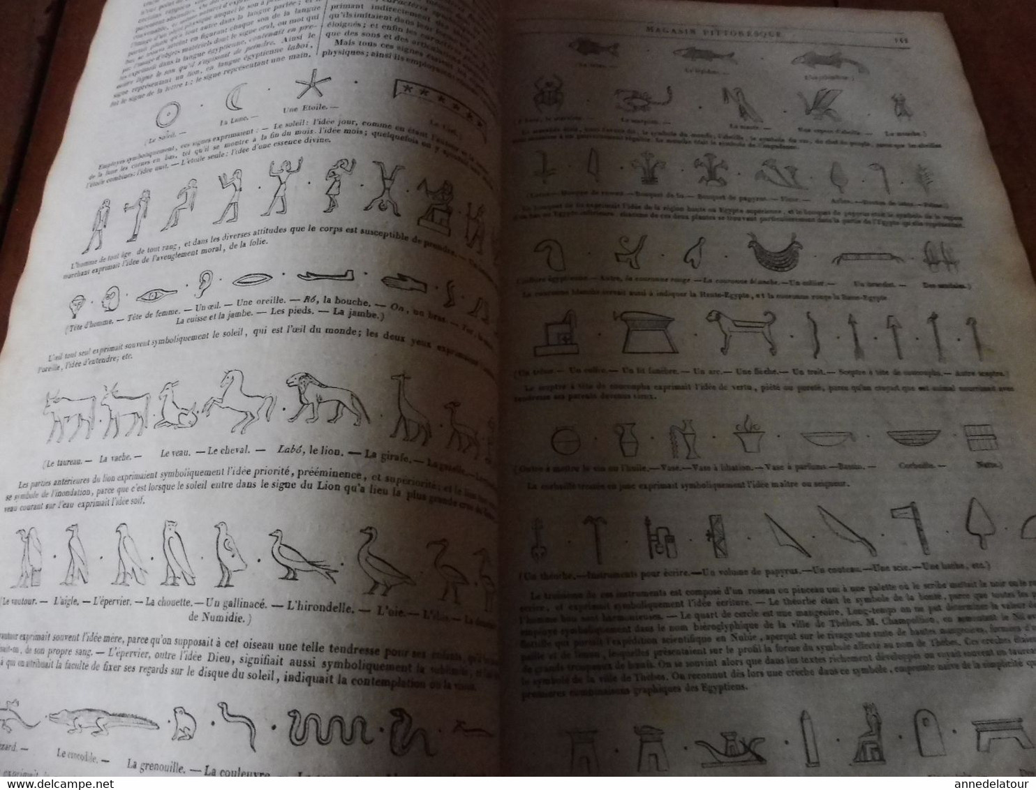 Année 1839: Le miroir de la vanité; Hiéroglyphes (important documentaire); Le phare de Pondichéry en Inde; Etc