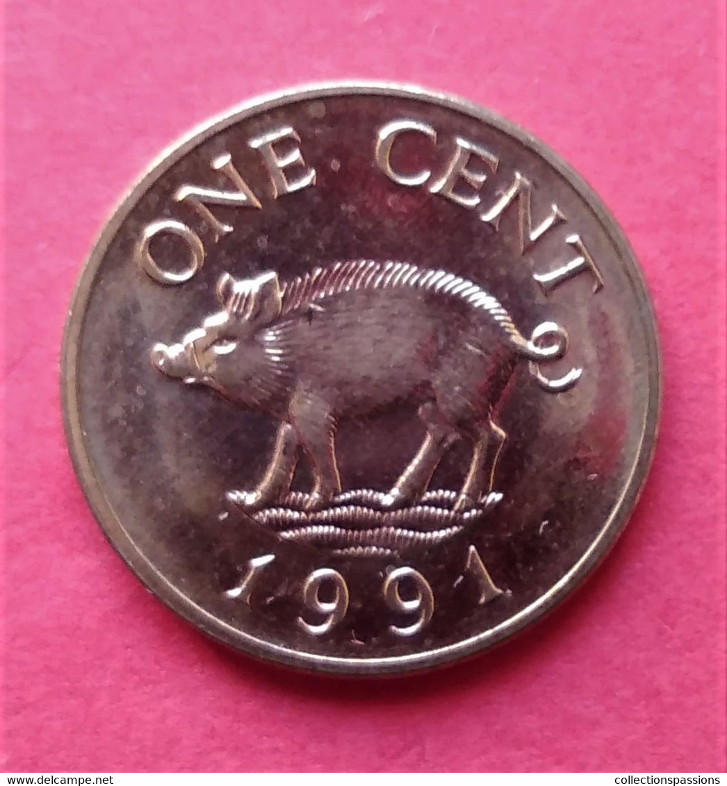 - BERMUDES - 1 Cent - 1991 - Cochon - - Bermuda