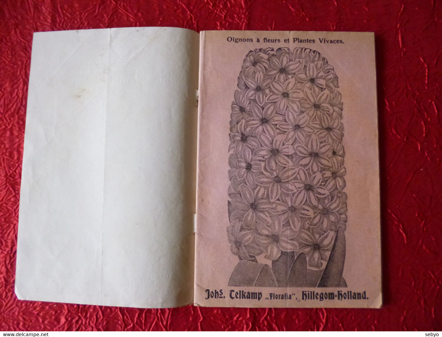 Catalogue De Vente De Fleurs. Johs TELKAMP.  Hillegom. Etablissements Horticoles FLORALIA.  1913-1914 - Nederland