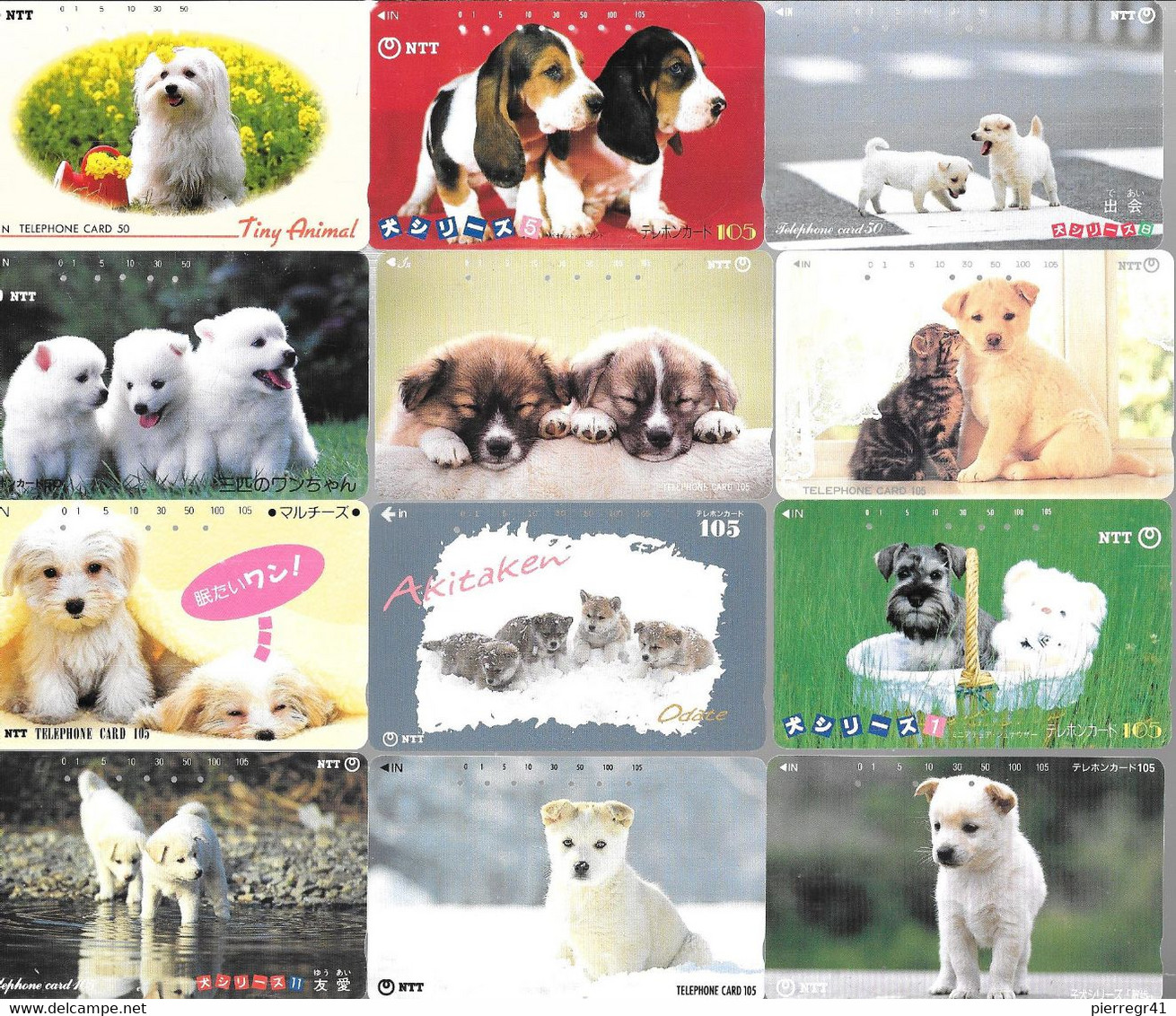 20 CARTES-MAGNETIQUE-JAPON-THEME-CHIOTS-TBE - Gatos