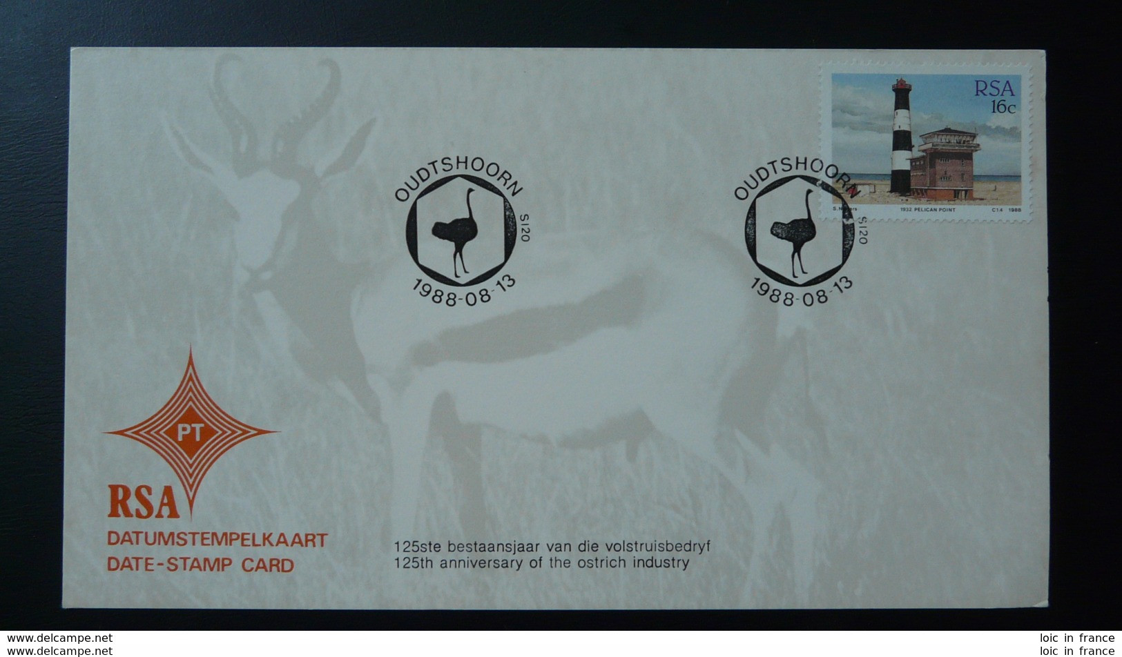 Autruche Ostrich Obliteration Postmark Afrique Du Sud South Africa 1988 - Autruches