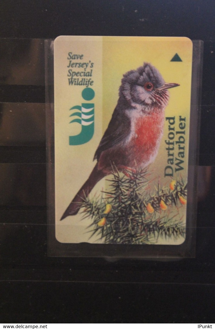 Jersey; Ca. 1992, Singvogel;  2 Pfund, Unbenutzt - Songbirds & Tree Dwellers