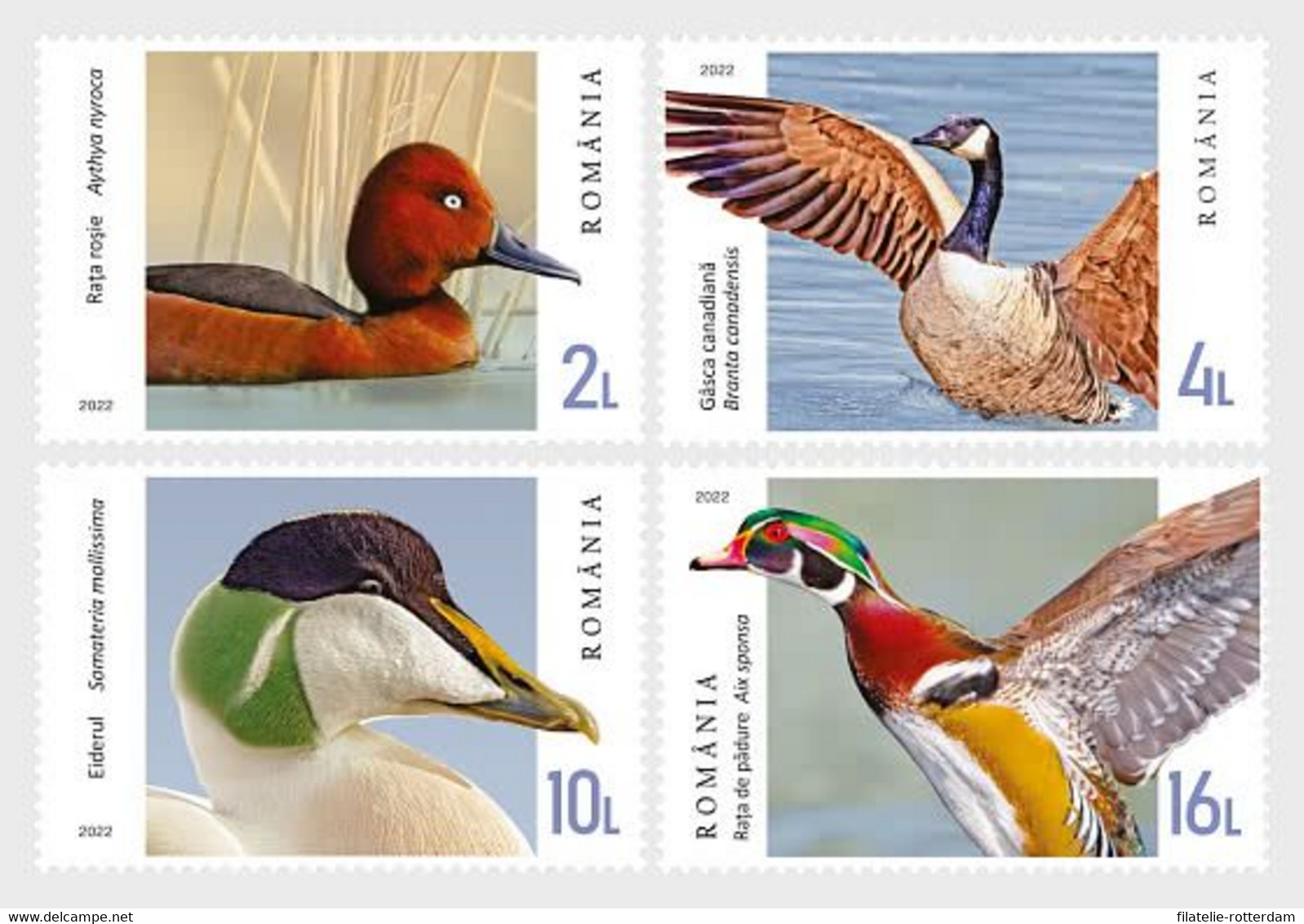 Roemenië / Romania - Postfris / MNH - Complete Set Eenden En Ganzen 2022 - Unused Stamps
