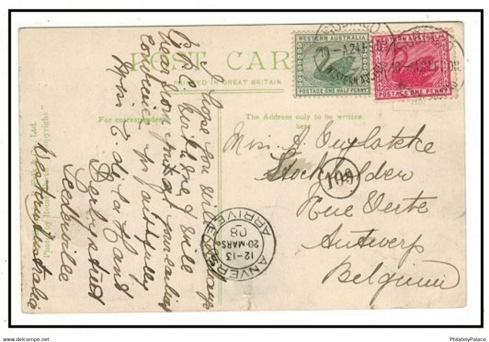 WESTERN AUSTRALIA - 1908 1 1/2d Rate Postcard Use To Belgium Used At SUBIACO (**) RED Swan & Green Swan Bird - Brieven En Documenten