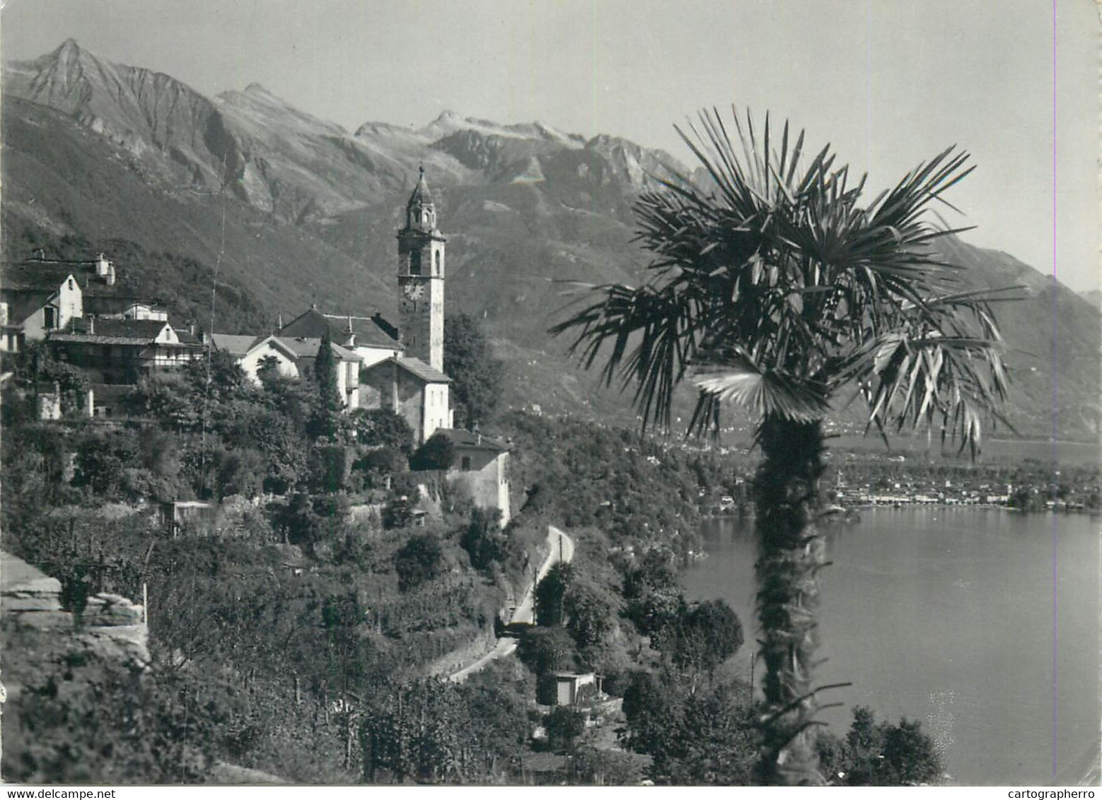 Postcard Switzerland Ronco Lago Maggiore 1964 - Ronco Sopra Ascona