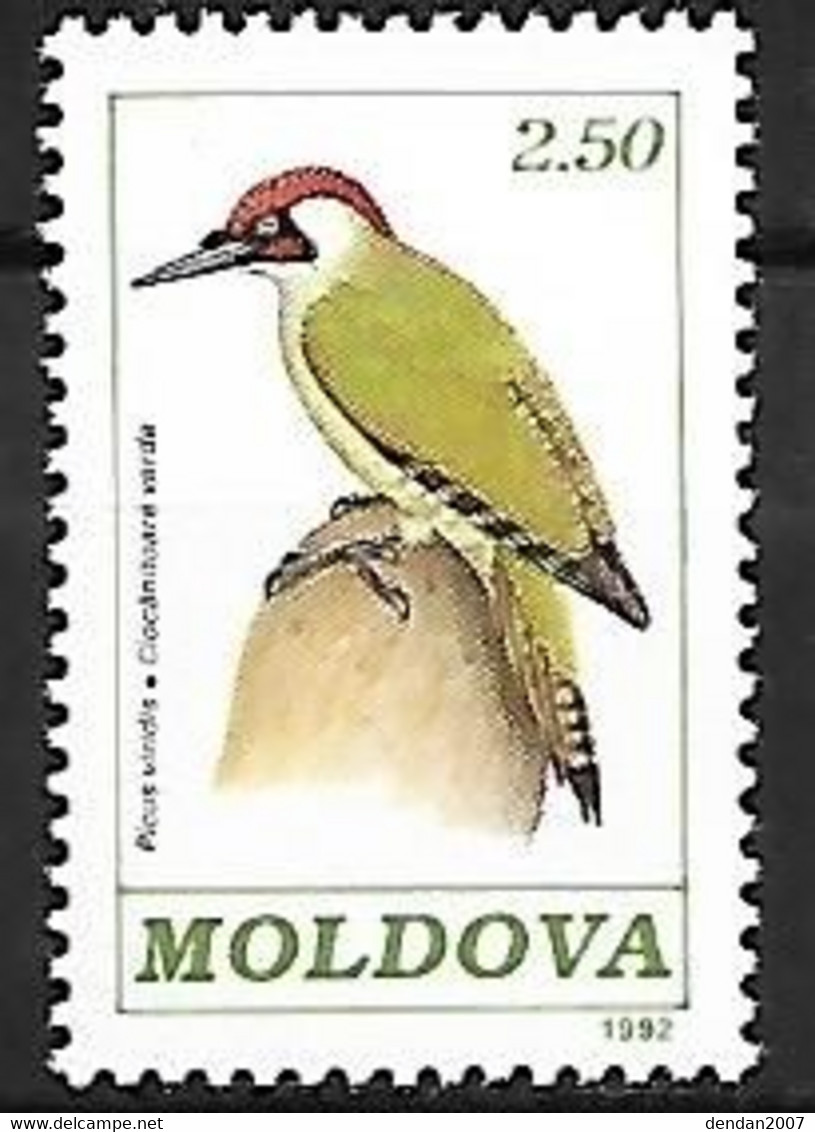 Moldova - MNH ** 1992 : European Green Woodpecker  -  Picus Viridis - Picchio & Uccelli Scalatori