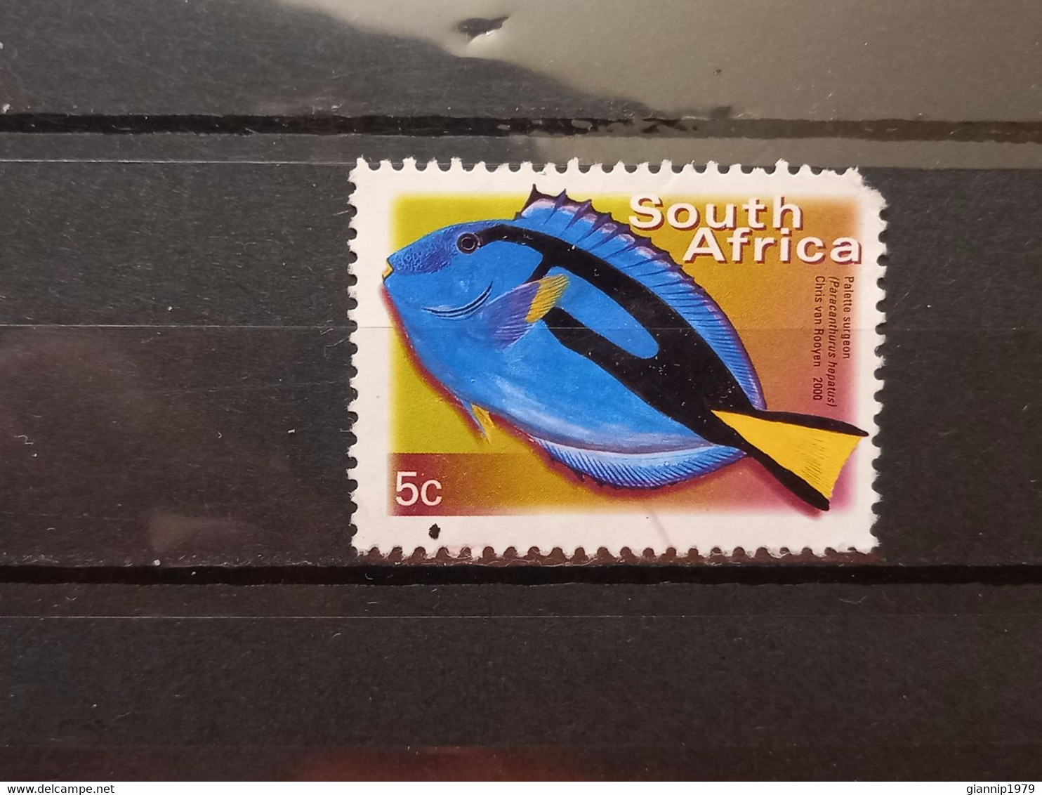 FRANCOBOLLI STAMPS SUD AFRICA SOUTH SUID 2000 USED SERIE PESCI FISH OBLITERE' - Used Stamps