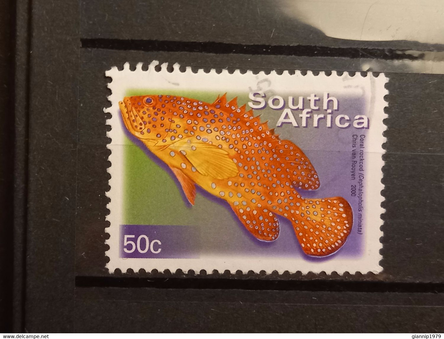 FRANCOBOLLI STAMPS SUD AFRICA SOUTH SUID 2000 USED SERIE PESCI FISH OBLITERE' - Used Stamps