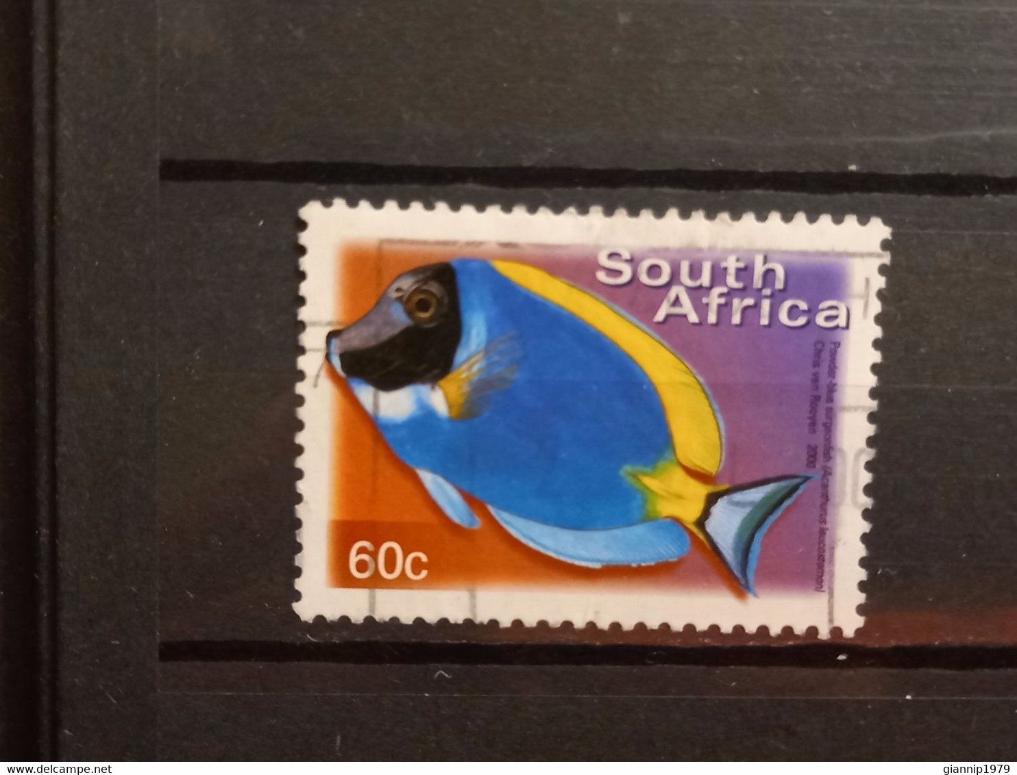 FRANCOBOLLI STAMPS SUD AFRICA SOUTH SUID 2000 USED SERIE PESCI FISH OBLITERE' - Used Stamps