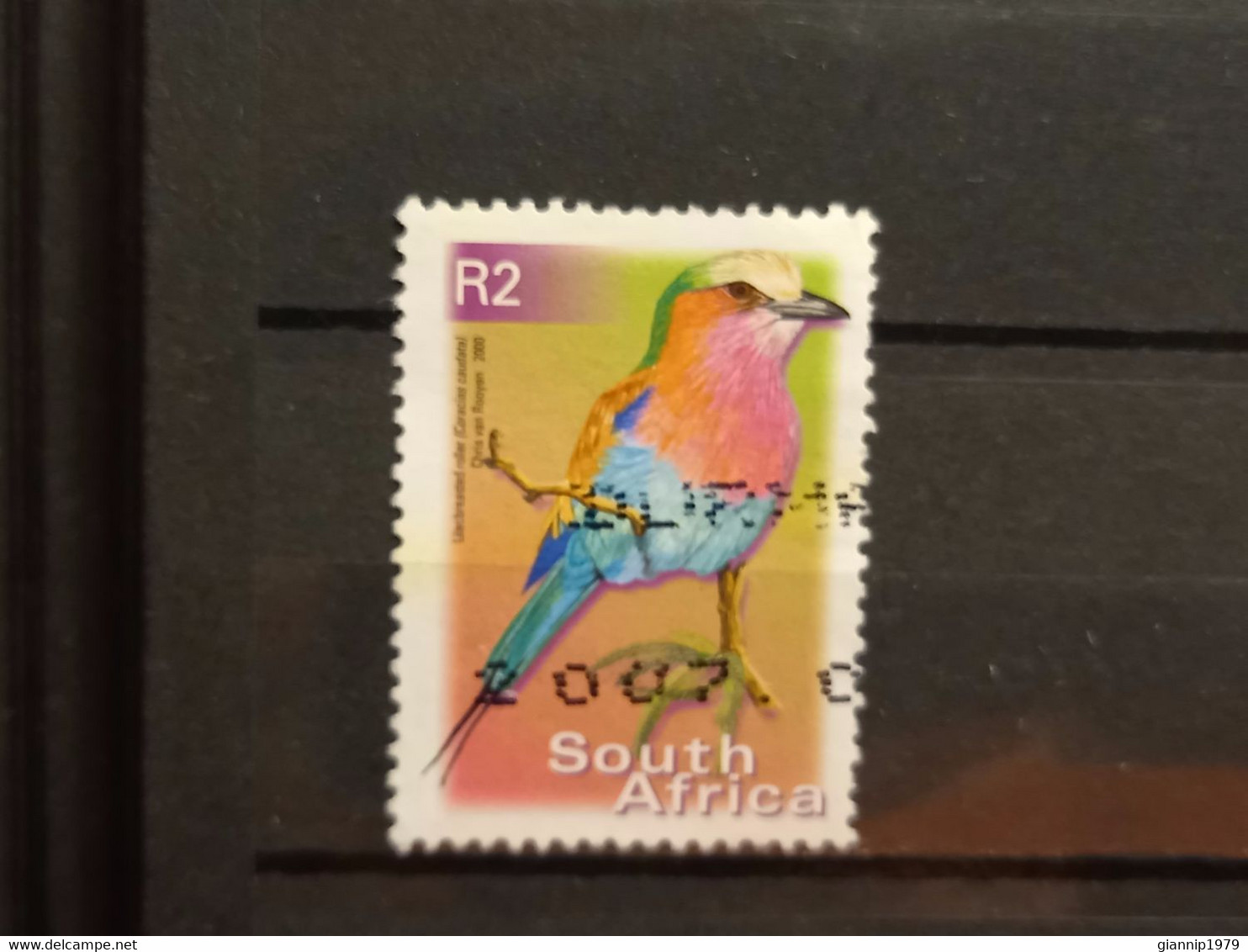 FRANCOBOLLI STAMPS SUD AFRICA SOUTH SUID 2000 USED SERIE  UCCELLI BIRDS OBLITERE' - Gebraucht