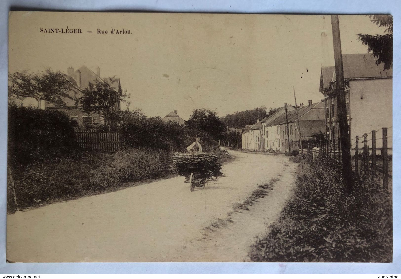 CPA Rare Belgique Saint Léger Gaume - Rue D'Arlon - Homme Avec Brouette Et Fagot De Bois - Rosmant Rongvaux - Saint-Léger