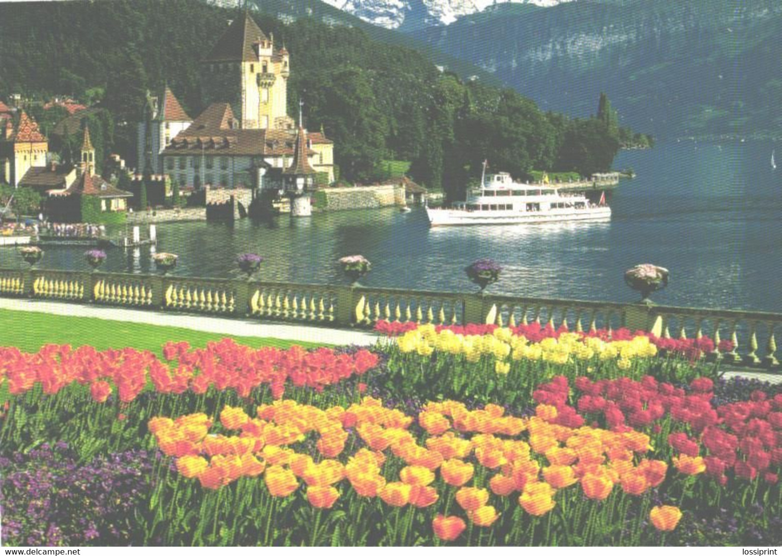 Switzerland:Oberhofen Castle With Eiger, Mönch And Jungfrau - Oberhofen Am Thunersee