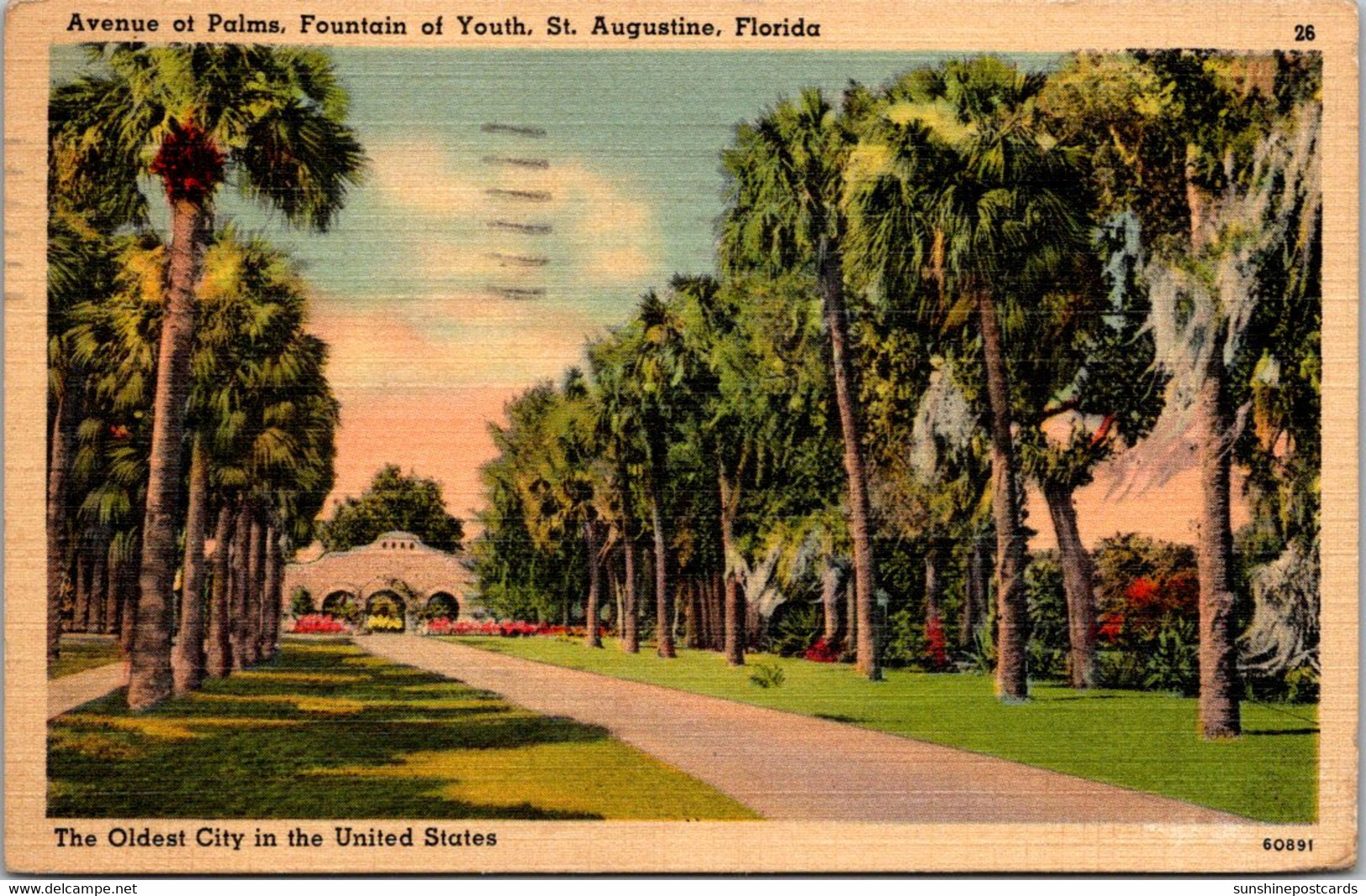 Florida St Augustine Fountain Of Youth Avenue Of Palms 1942 - St Augustine