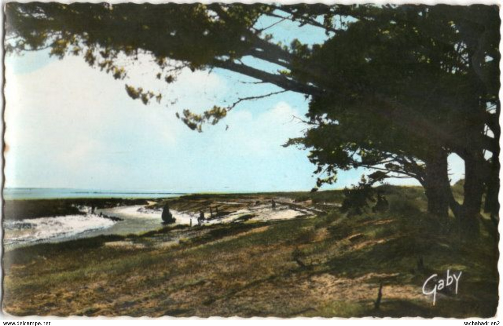 44. Pf. BOURGNEUF-EN-RETZ. La Rade Et La Pointe Aux Sables. 21 - Bourgneuf-en-Retz