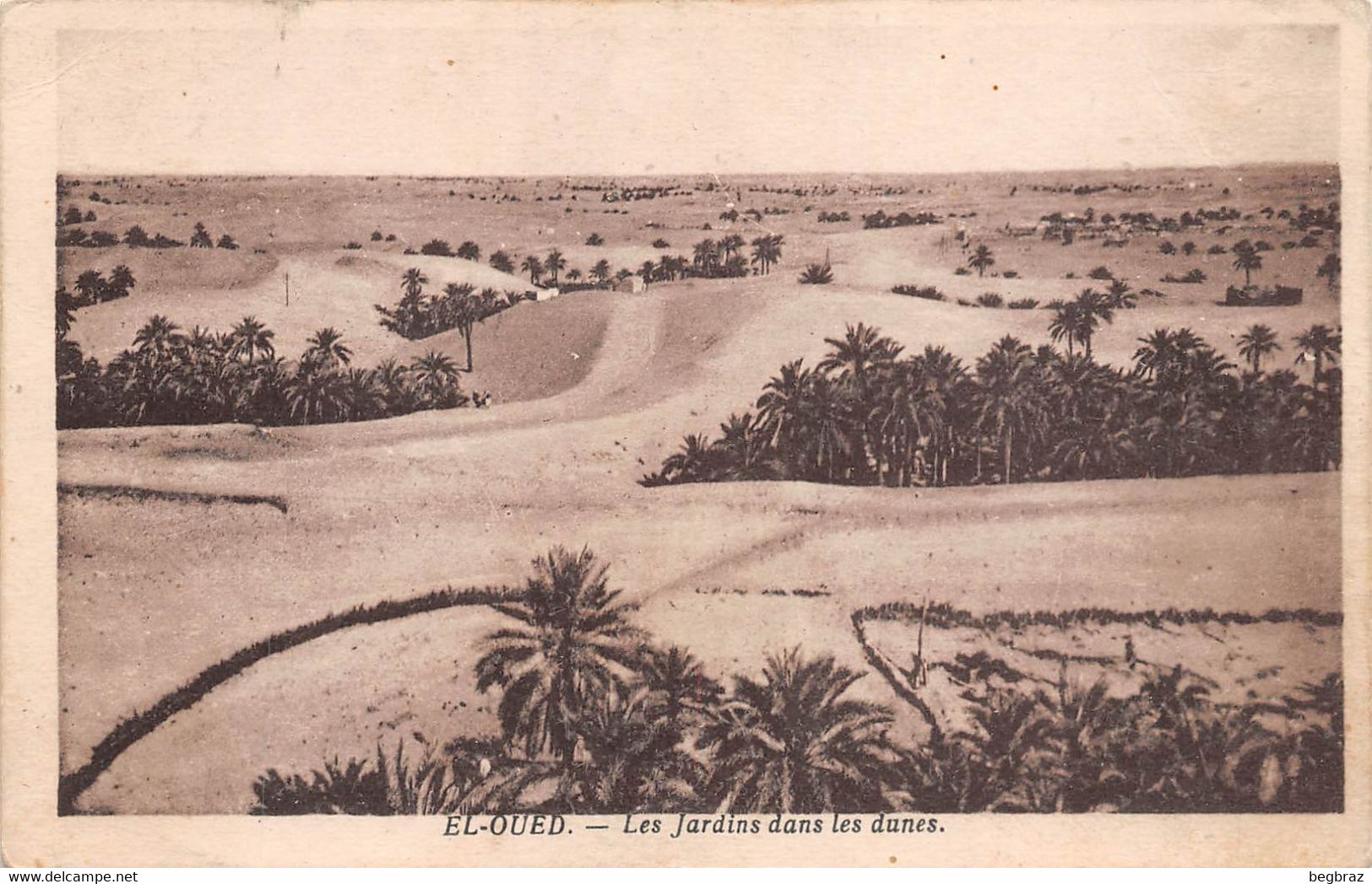 EL OUED   LES JARDINS DANS LES DUNES - El-Oued