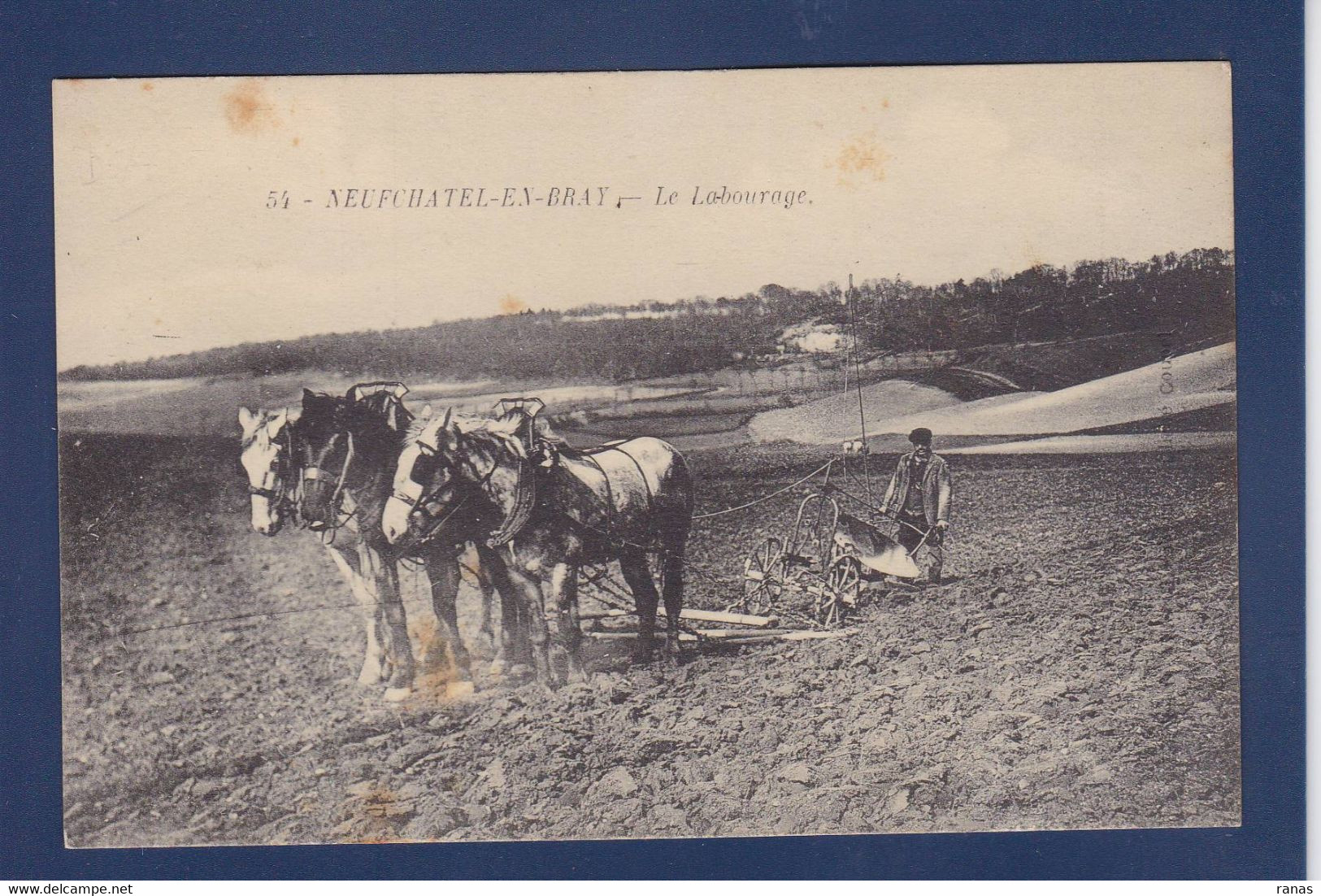 CPA [76] Seine Maritime > Neufchâtel En Bray écrite Métier - Neufchâtel En Bray